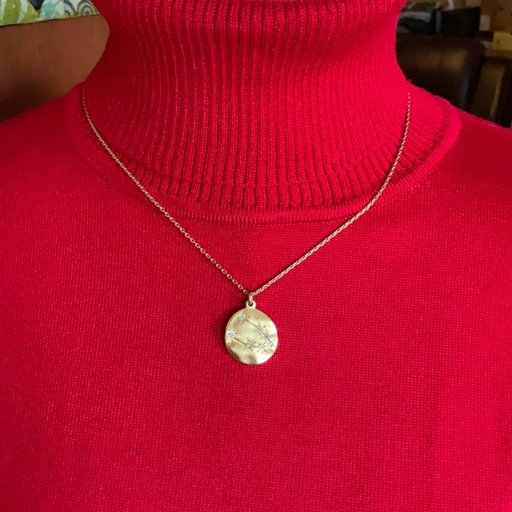 NWOT Gold Tone Zodiac Necklace (Taurus)